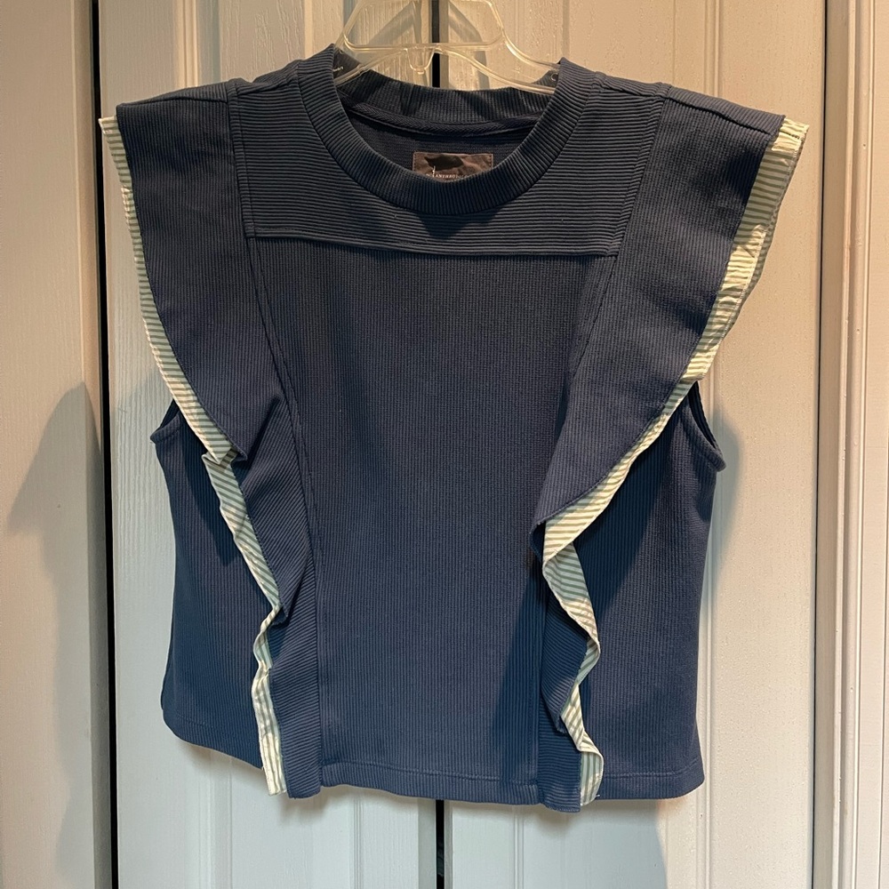 Anthropologie Blue and Cream Ruffle Crop Top